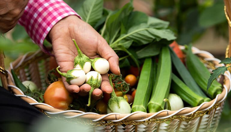 This Leader in Organic Agriculture Growth